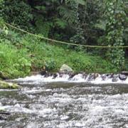 Rio crecido en los maquiques